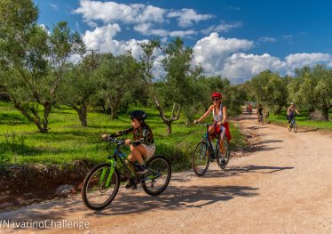 Navarino Challenge
